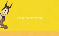 北京养犬管理规定2020