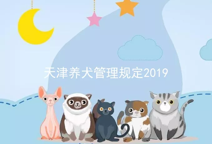 天津养犬管理规定2019