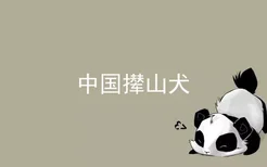 中国撵山犬