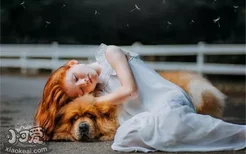 狗为什么喜欢和人睡 不仅仅是因为狗狗喜欢你哦