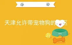 天津允许带宠物狗的景区