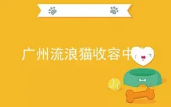 广州流浪猫收容中心
